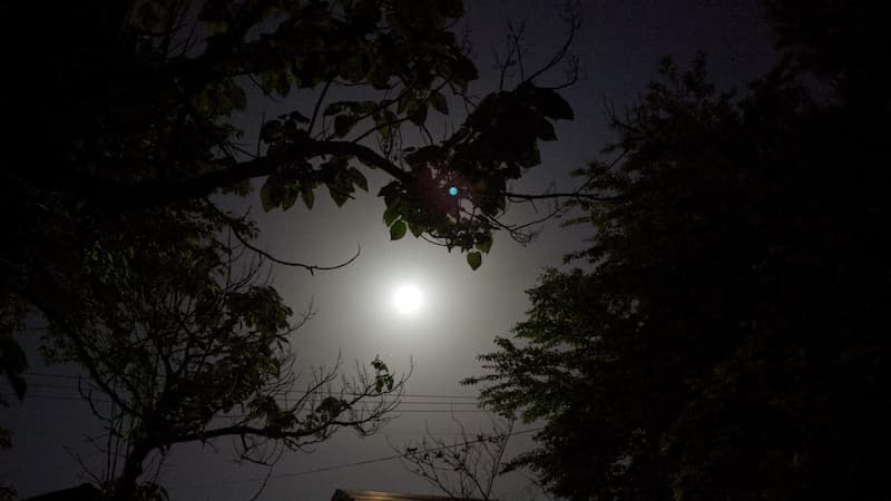 生で見たかった スーパーフラワー ブラッドムーン のこみちblog